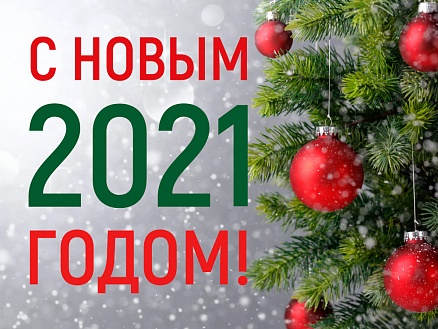 С наступающим 2021 годом!